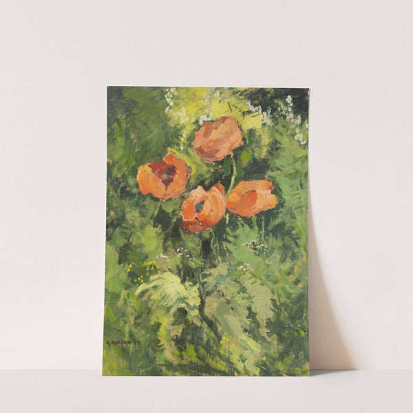 Wild Poppies by Gustav Macoun