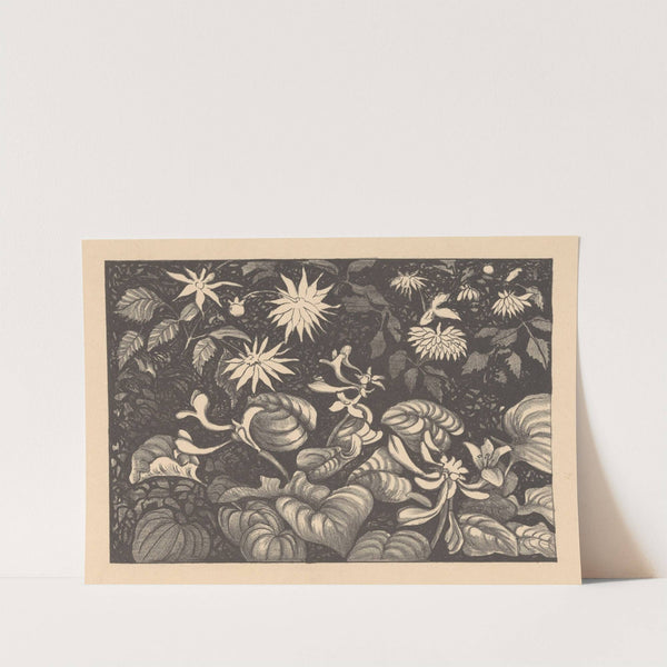 Wilde planten en bloemen by Theo van Hoytema
