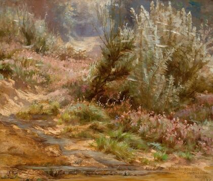 Wildflowers by a Stream