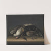 Wildfowl On A Wooden Table by Jacob Biltius
