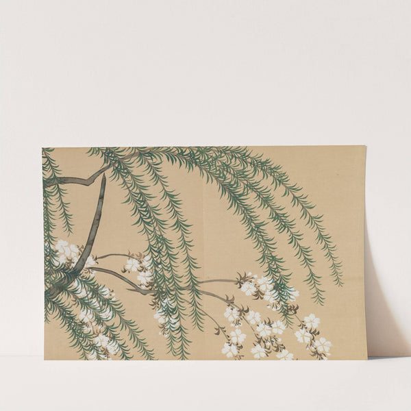 Willow and Cherry (Yanagizakura) (1909-1910) by Kamisaka Sekka