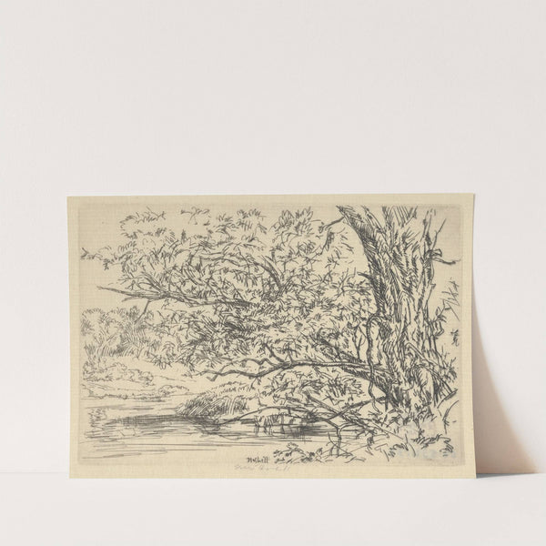 Willow and Water (1900-1925) by Ernest Haskell