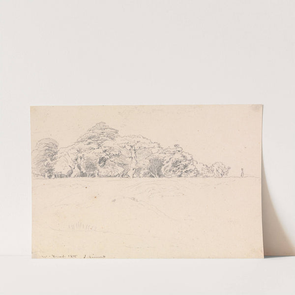 Windsor Forest by John Linnell