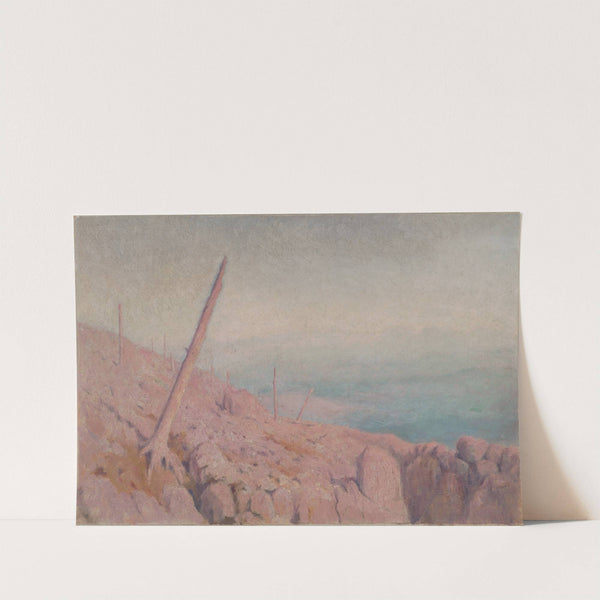 Windthrow by Dezider Czölder