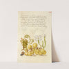 Wine Grape, Gillyflower, and Land Snail (1561–1596) by Joris Hoefnagel