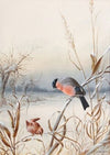 Winter – A Cock Bullfinch and Wren
