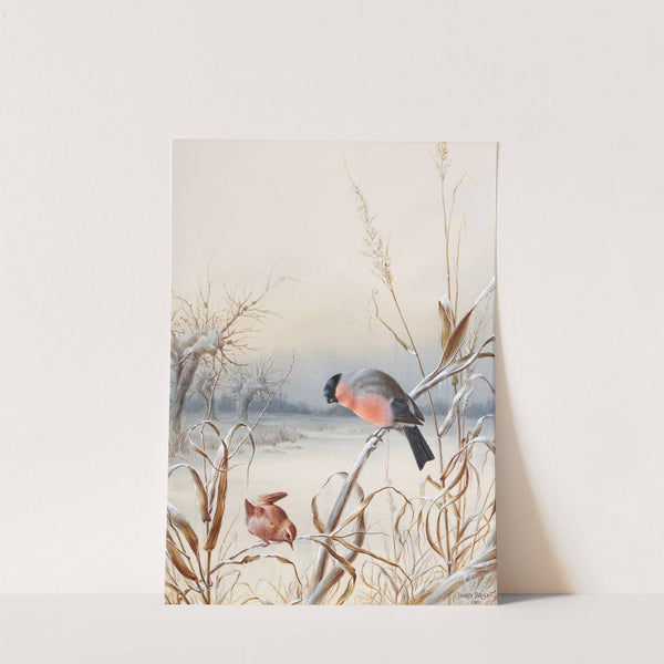 Winter - A Cock Bullfinch and Wren by Harry Bright