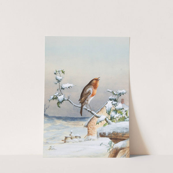 Winter - A Cock Robin by Harry Bright