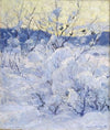 Winter Evening