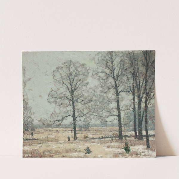 Winter Hickories by John Fabian Carlson