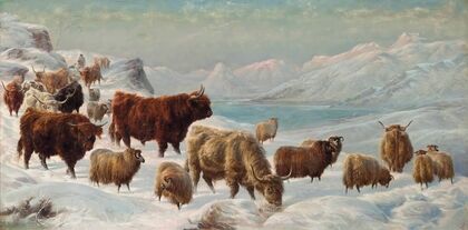 Winter in the highlands