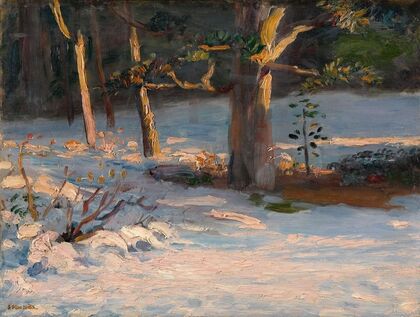 Winter Landscape