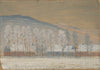 Winter Landscape near Ždiar