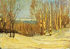 Winter near Montreal
