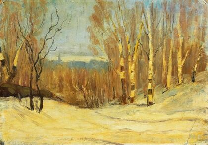 Winter near Montreal
