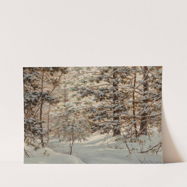 Winter Pine by Robert Melvin Decker