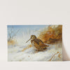 Winter Woodcock (1916) by Archibald Thorburn