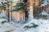 Winterlandschaft