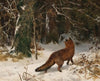 Winterliche Begegnung