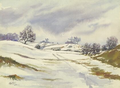 Wintery landscape
