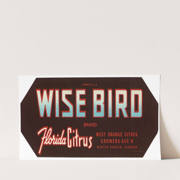 Wise Bird Brand Florida Citrus Label (1940s)