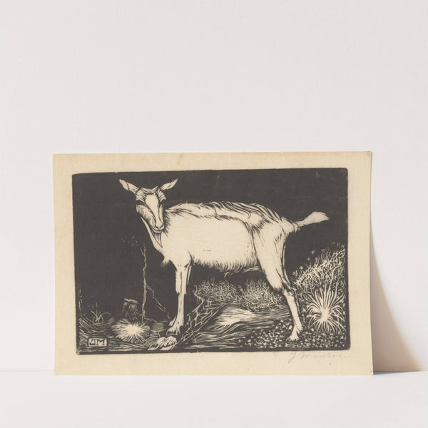 Witte geit (1915) by Jan Mankes