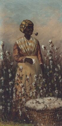 Woman Smoking Pipe and Picking Cotton