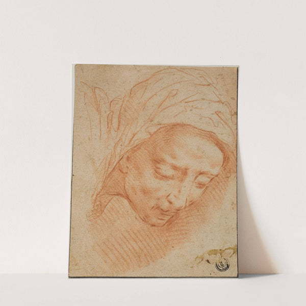 Woman’s Head by Bernardino Poccetti