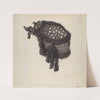 Woman’s Headdress by James McLellan