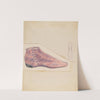 Woman's Shoe by Melita Hofmann