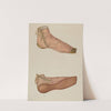 Woman's Silk Shoe by H. Langden Brown