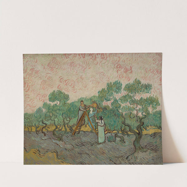 Women Picking Olives (1889) by Vincent van Gogh
