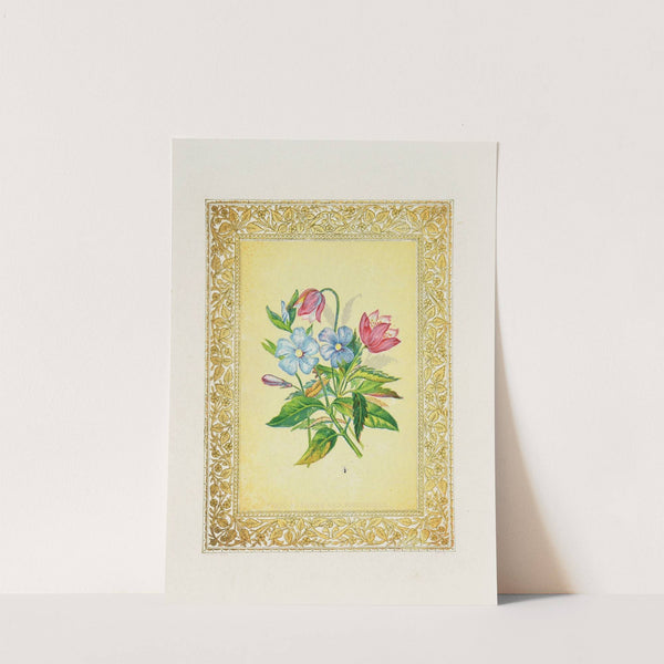 Wood Anemone & Periwinkle (1869) by John Henry Ingram