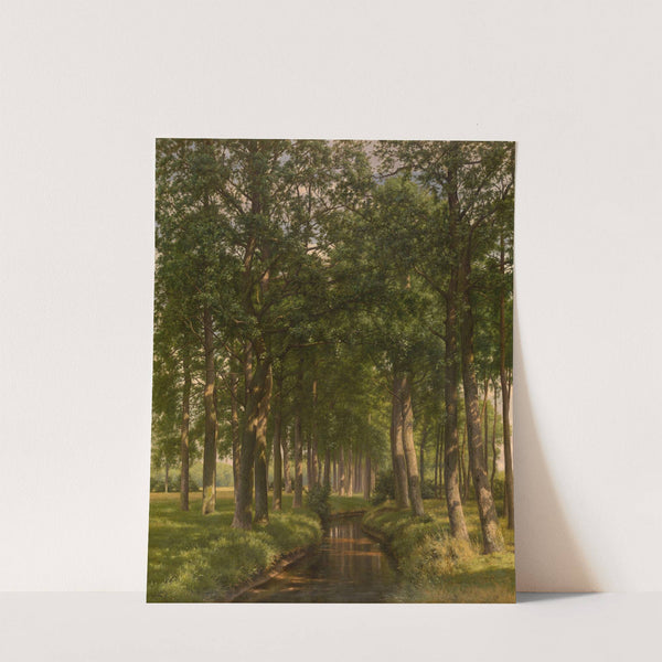 Wood Bathing in Sunshine by Alfred Elsen