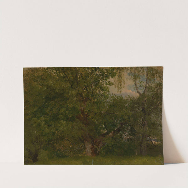 Wood near Ulefoss by August Cappelen