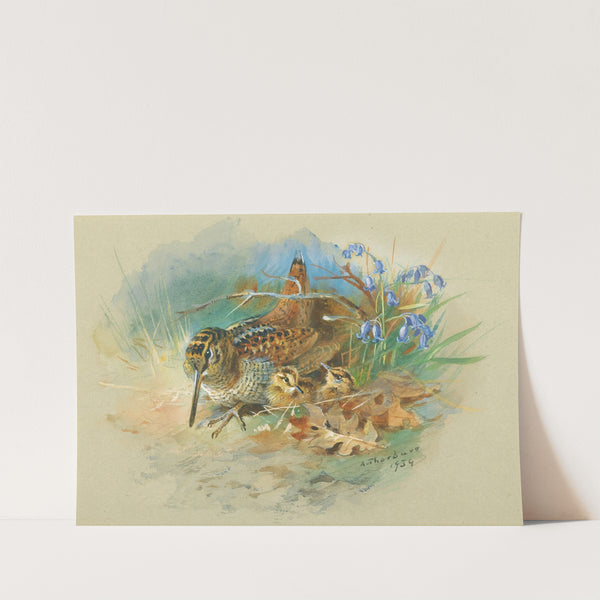 Woodcock and Young (1934) by Archibald Thorburn