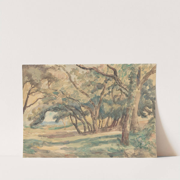 Wooded Glade near St. Tropez by Roger Fry