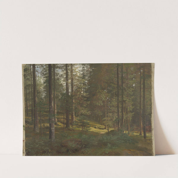 Wooded Landscape by Hans Gude