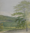 Wooded landscape