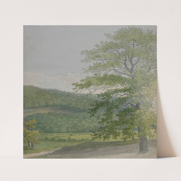 Wooded landscape (1790s-1820s) by John White Abbott