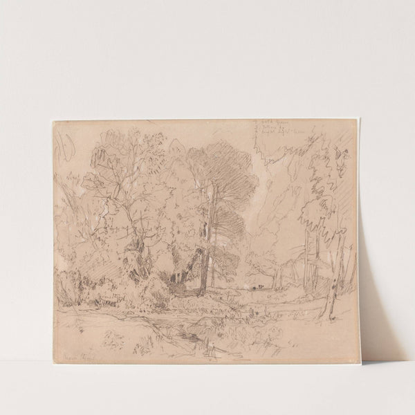 Wooded Landscape (probably 1841) by John Sell Cotman