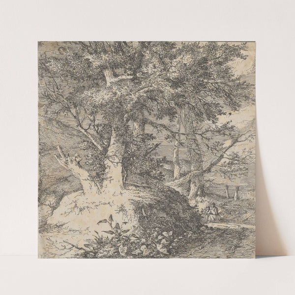 Wooded Landscape (ca. 1812) by John Crome