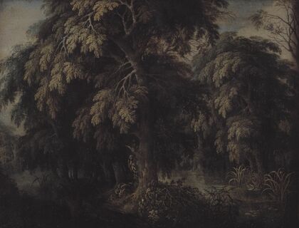Wooded Landscape