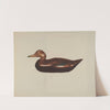 Wooden Duck by American 20th Century