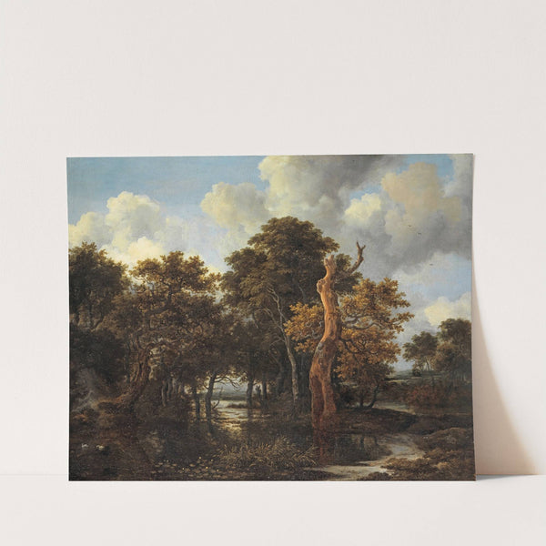 Wooden Marsh Landscape with Dead Tree (1665) by Jacob van Ruisdael