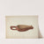 Wooden Meal Scoop (c. 1941) by Wilbur M Rice