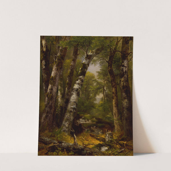 Woodland Glen (ca. 1850-1855) by Asher Brown Durand