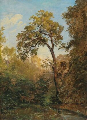 Woodland Interior