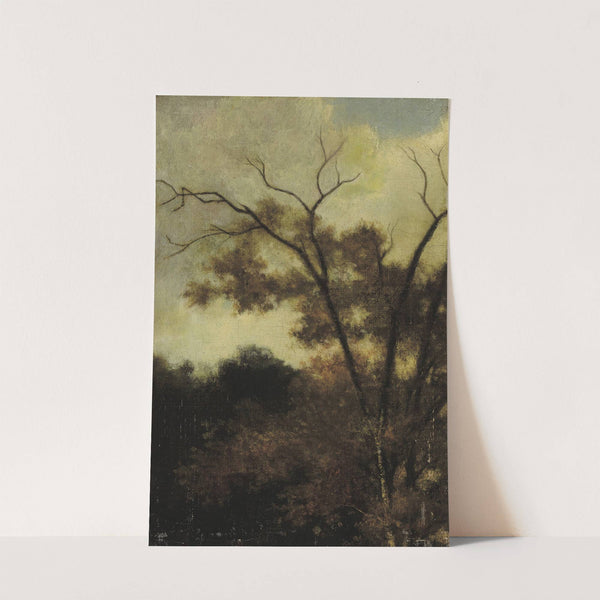 Woodland Landscape (1850) by Charles François Daubigny