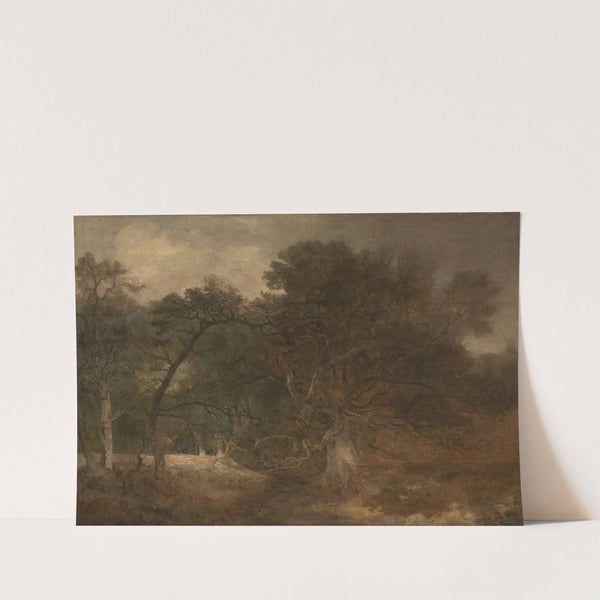 Woodland Landscape near Norwich by John Crome